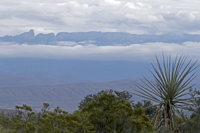 Sierra del Carmen Above Clouds Big Bend NP 